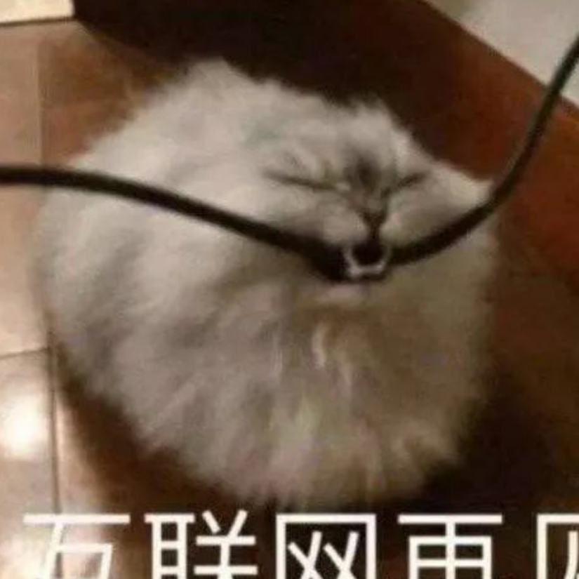 考拉侠