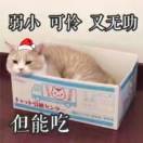 陈单纯