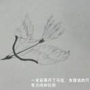 张长弓