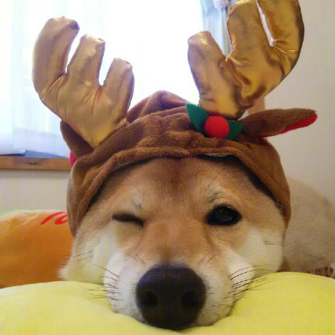 我是建昏我怕谁