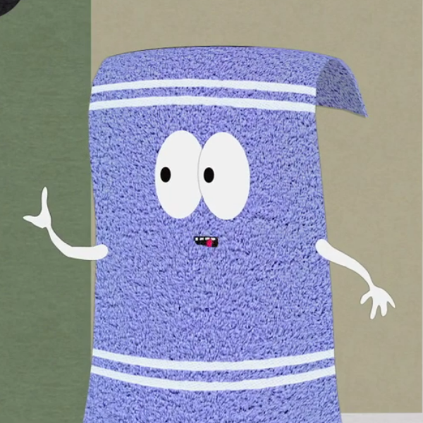 Towelie