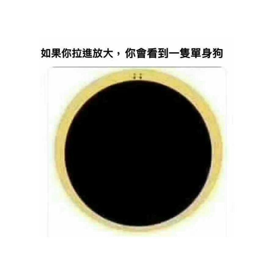 你的祖·锦鲤·宗