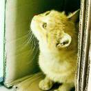 『意义怪』天地旅者