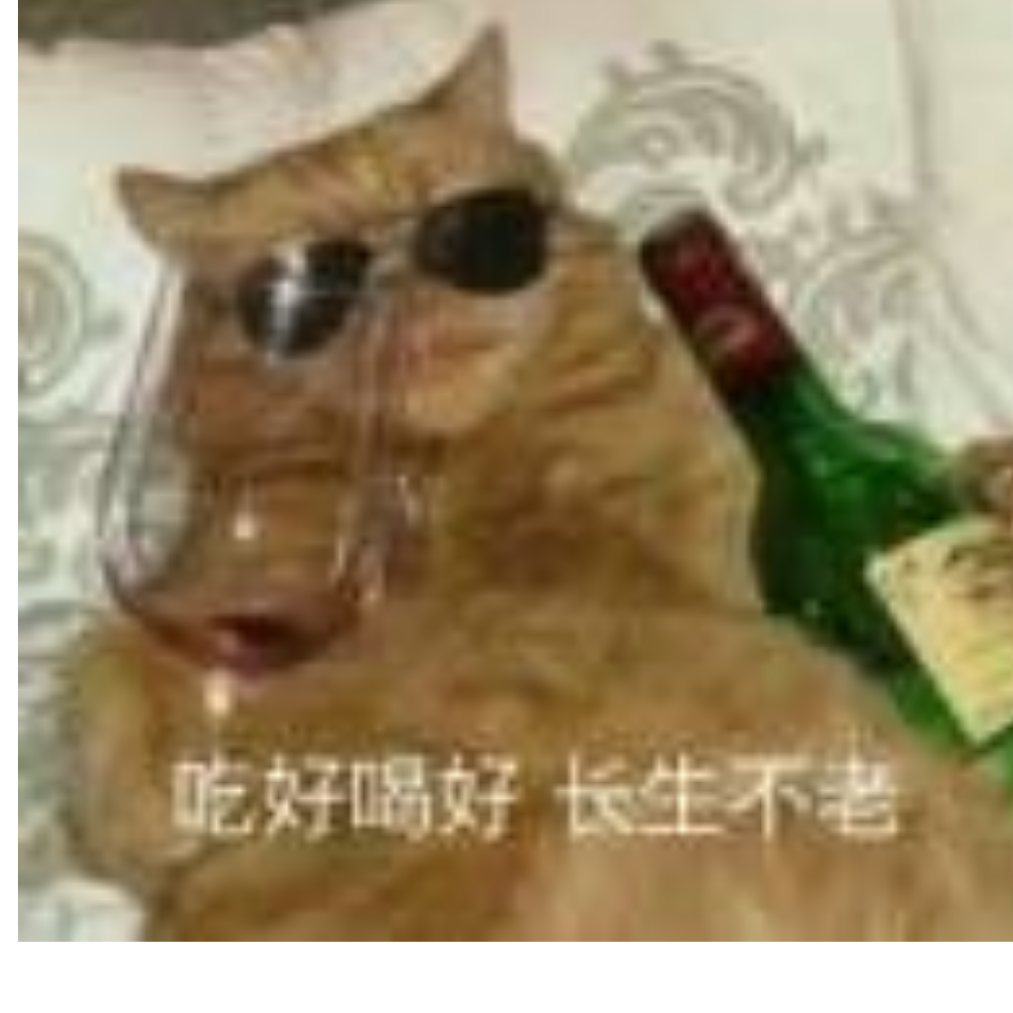 猫咪大王