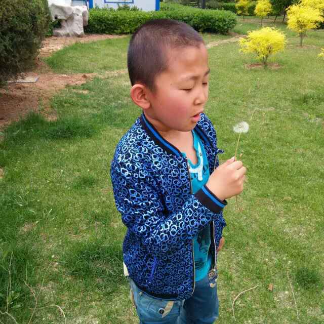 宏宇，