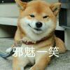 偏执狂