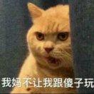 桀骜