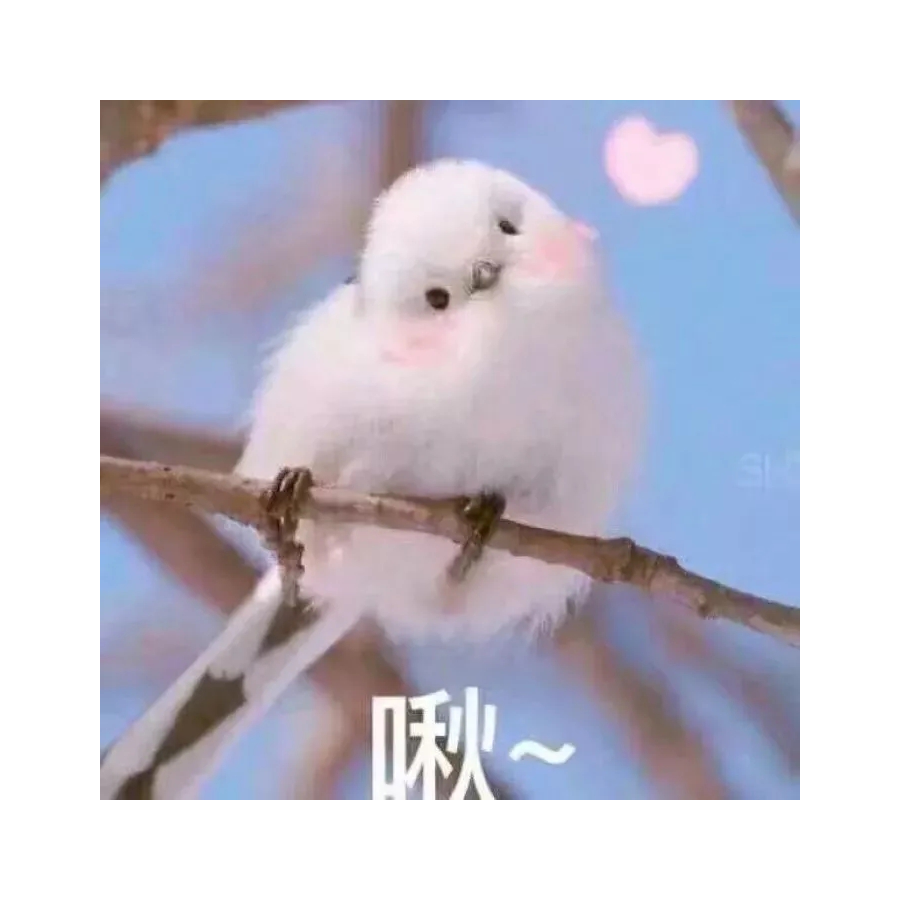 搞事情
