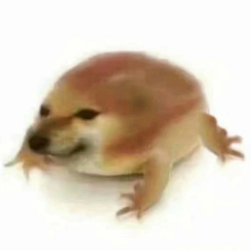 刘牛6