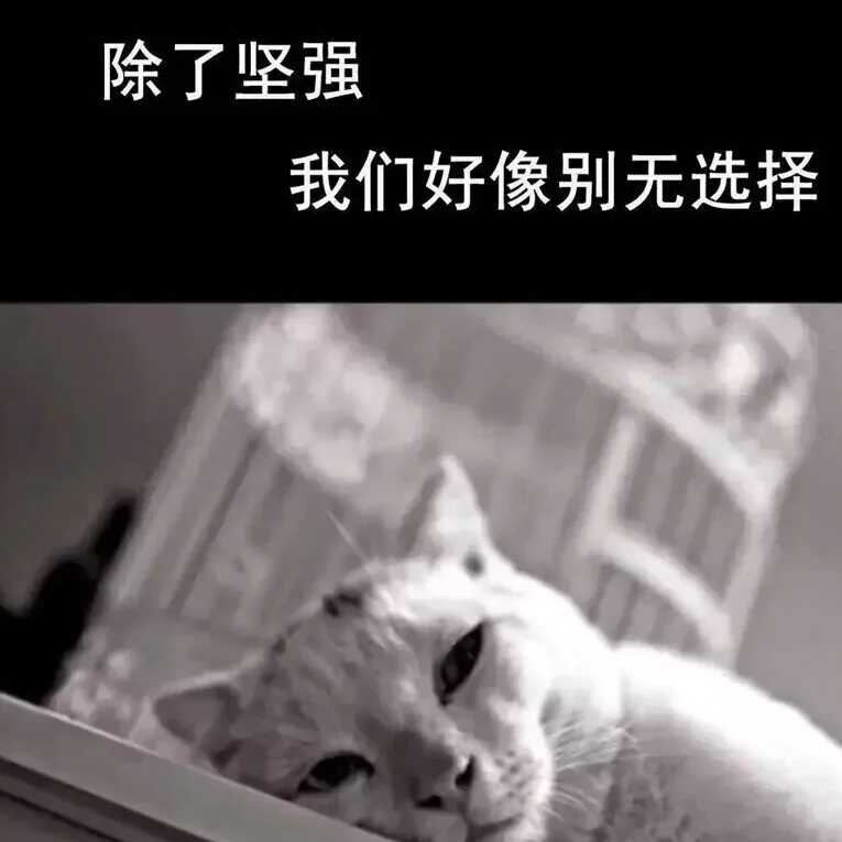 氪不改非