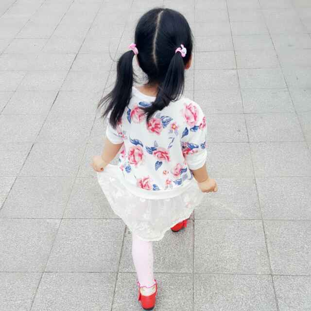 dodo