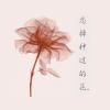 不太会ღ