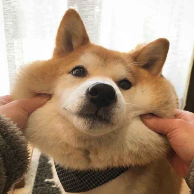 -范老七