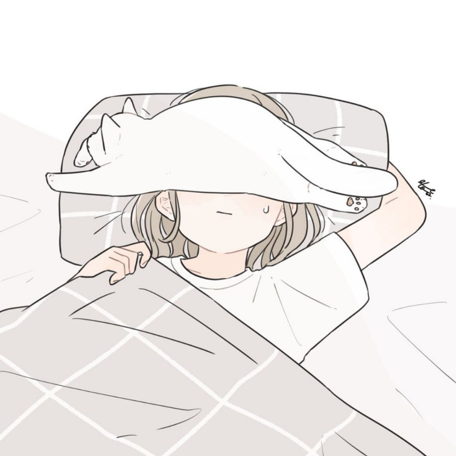 萌新