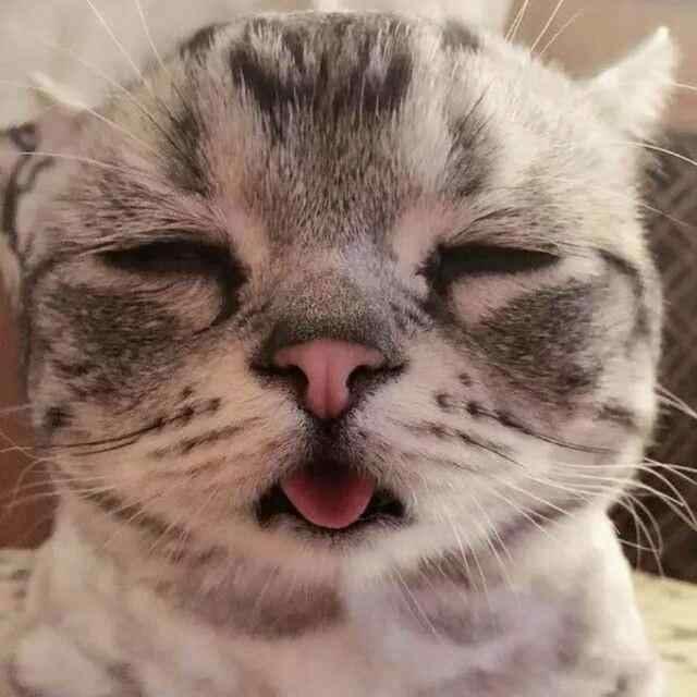 墨泽羽