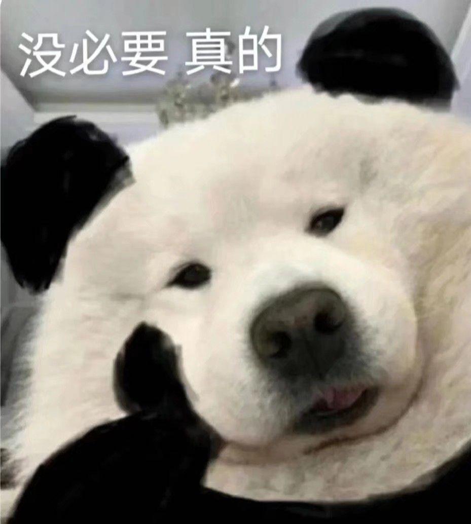 十五