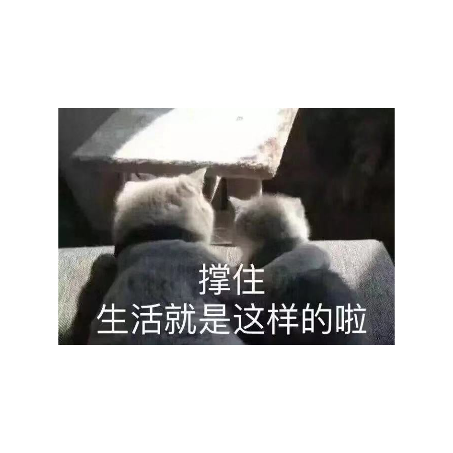 年少三岁