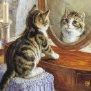 S.Cheng จุ๊บ