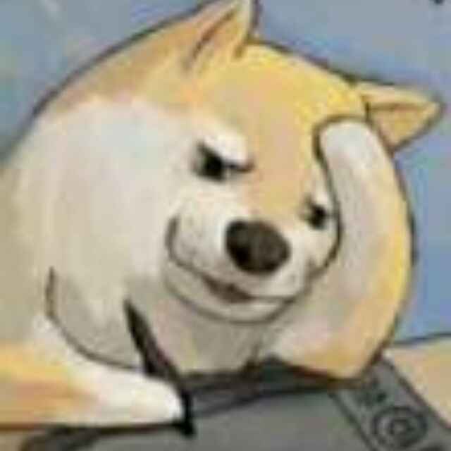 绵羊