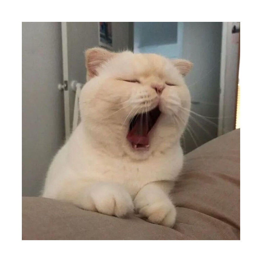 青杙