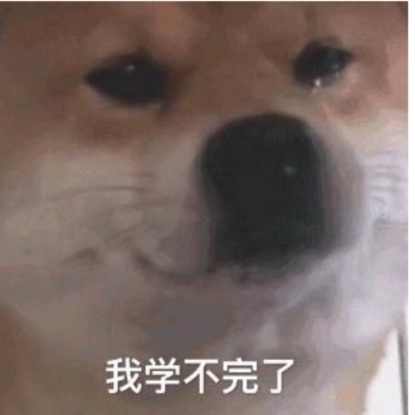 醒着做梦