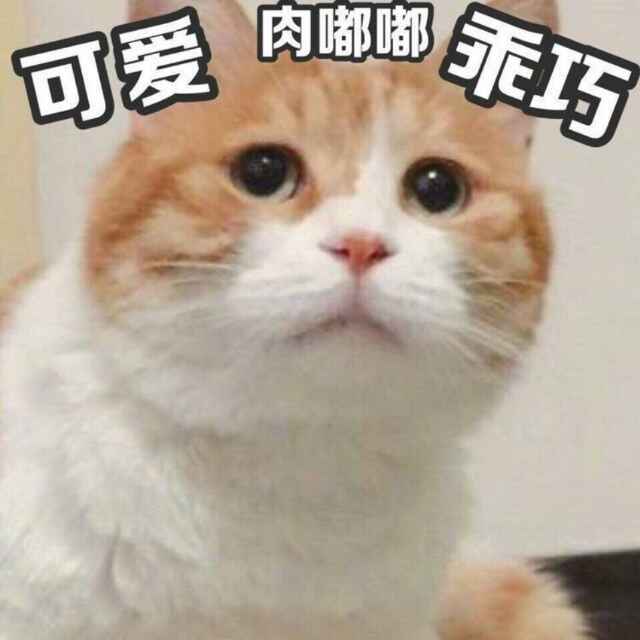 ੭ ᐕ)੭*⁾⁾