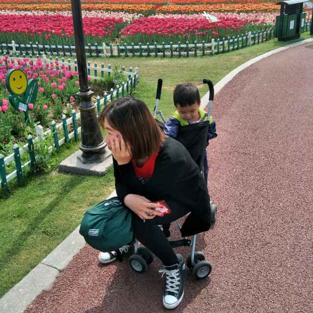 大肥丰