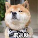 身影