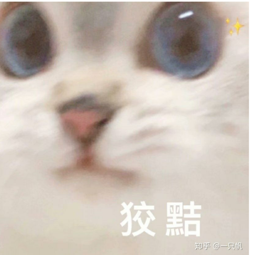 猪立立