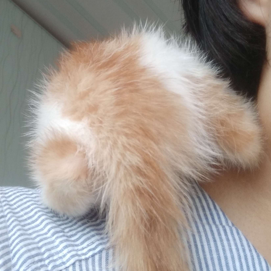 加菲飞飞Fae