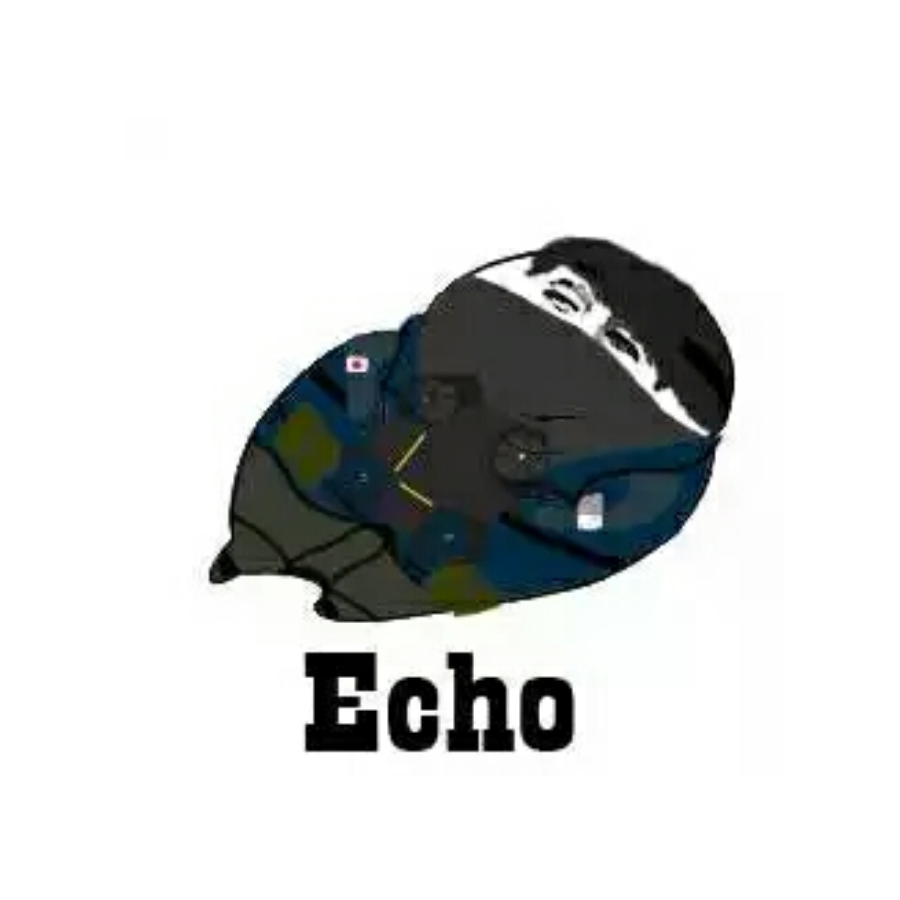 Echo