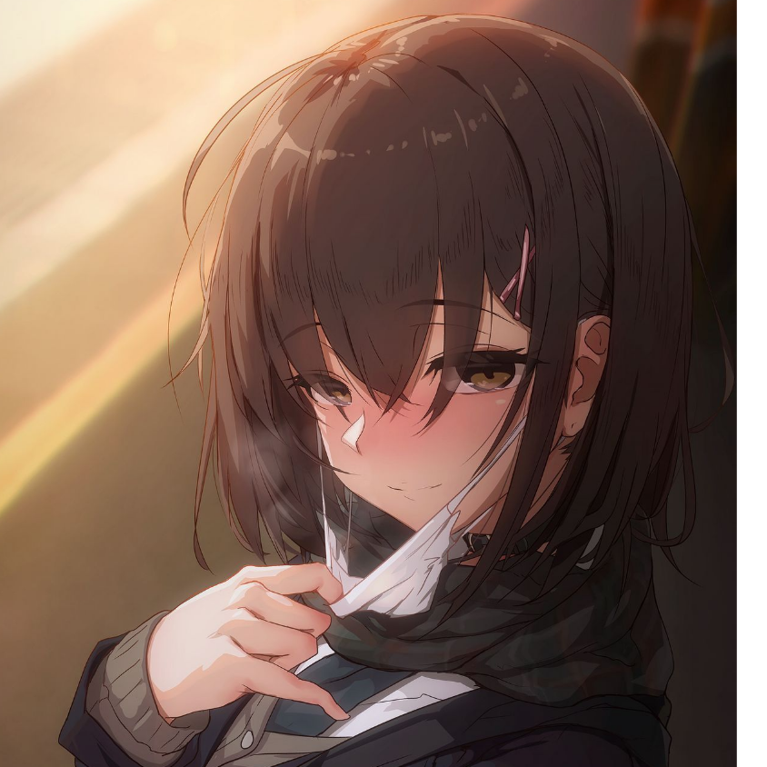何不去追风