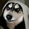 Doge彰℡