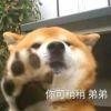 死猪酷奇