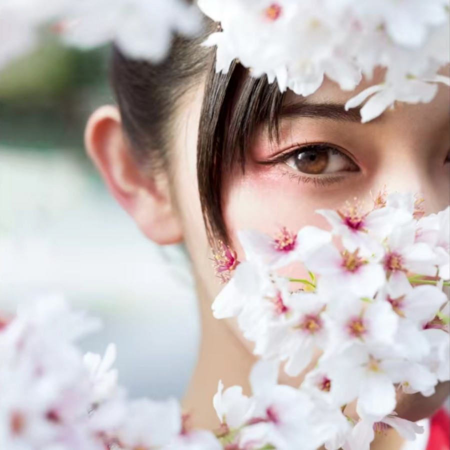 花🌸雨