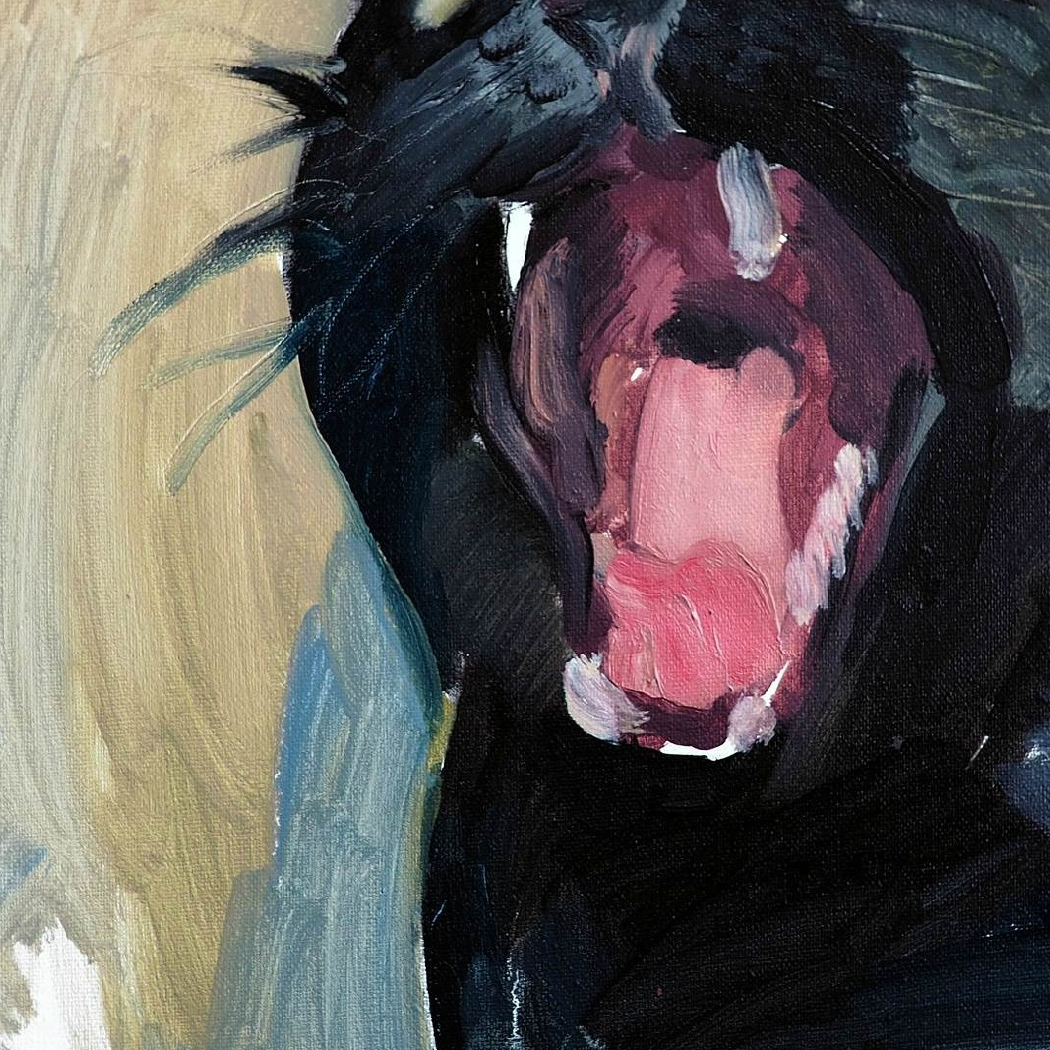 Pok