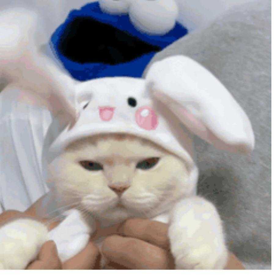 半梵