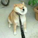 阿黄的朋友圈
