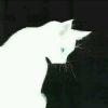 しっと