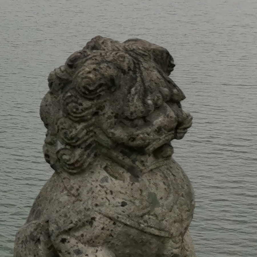 一条大长腿