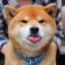 琛琛琛琛琛琛琛琛琛琛琛琛琛琛琛
