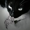 琉璃猫