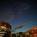 小新