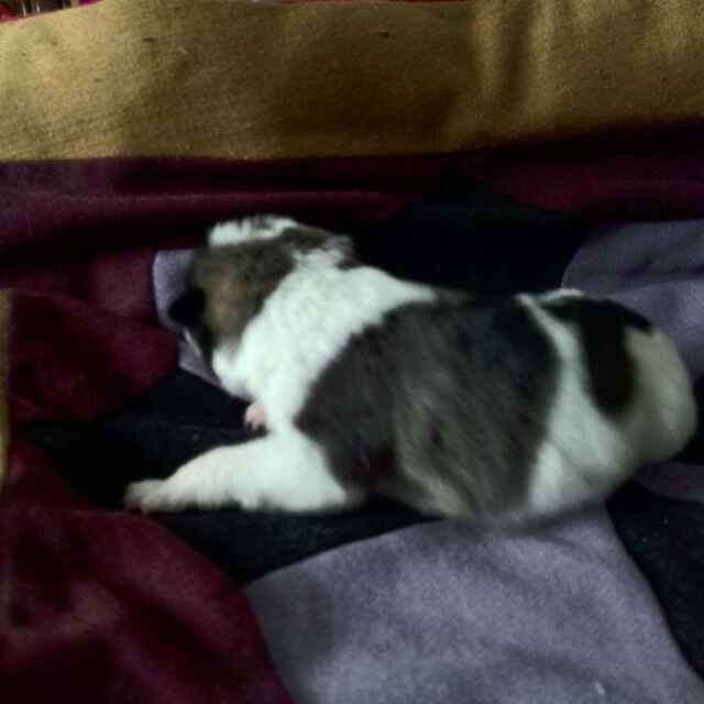 有什么好玩的单机手游吗