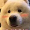李友并