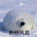 泉酒