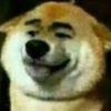 漫兴晨
