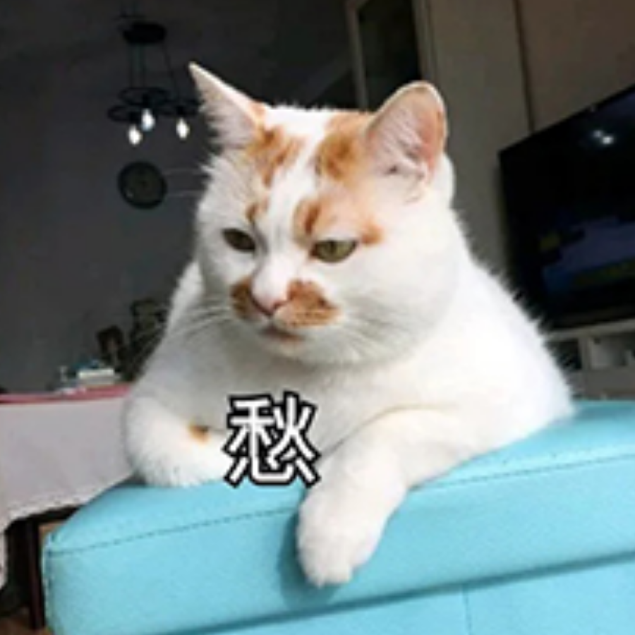 猫猫叹气