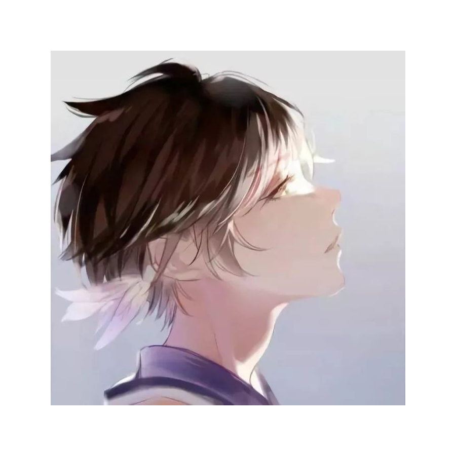 楠萝