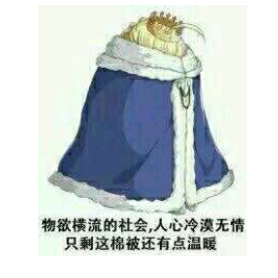 药药药迪橙